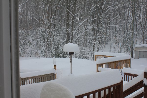 New Camera Dec2010 362